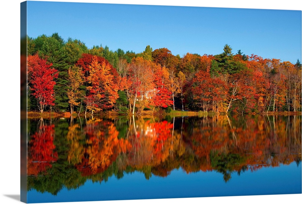 Maine, New England, Landscape at Moose Pond