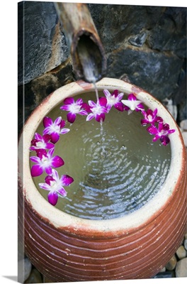 Malaysia, Kedah, Langkawi, Pot with water and orchids