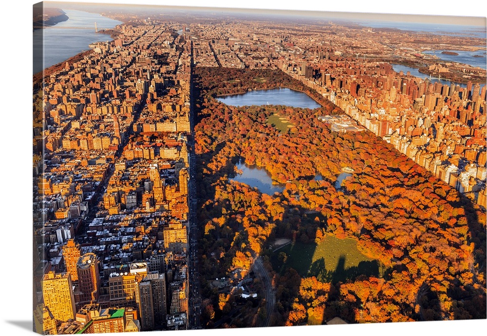 USA, New York City, Manhattan, Aerial view towards Central Park with foliage at sunset