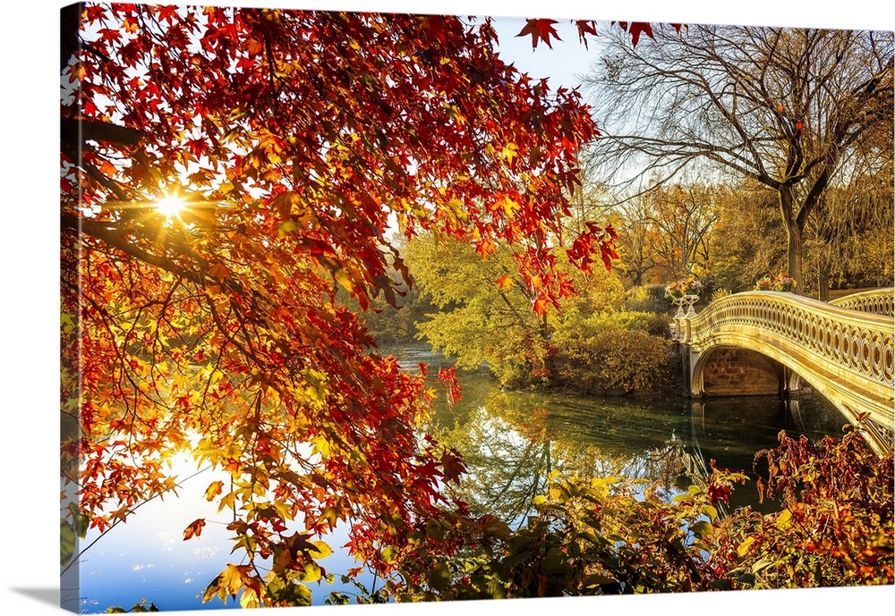 USA, New York City, Manhattan, Central Park, Bow Bridge in the foliage