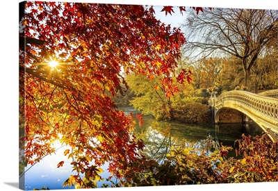Manhattan, Central Park, Bow Bridge In The Foliage