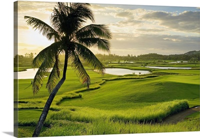 Mauritius, Indian ocean, Domaine Bel Ombre Valriche, golf course