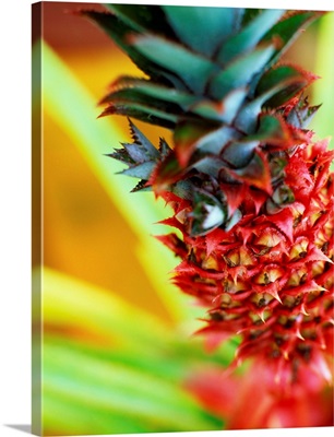 Mauritius, Red decorative pineapple