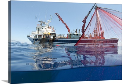 Mediterranean sea, Fishing boat catching tuna in Mediterranean Sea