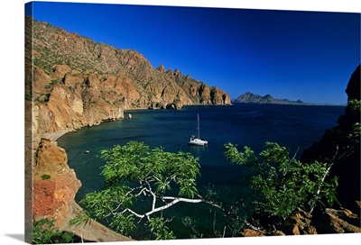 Mexico, Baja California Sur, Sea of Cortez, Isla Danzante bay