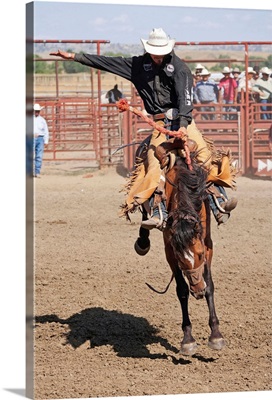 Montana, Crow Agency, Bronco riding during the All Indian Rodeo at the Annual Crow Fair