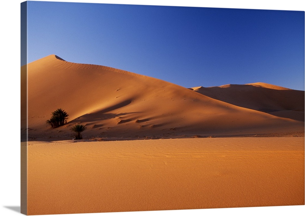 Morocco, Erg Chebbi Desert