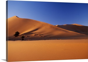 Morocco, Erg Chebbi Desert image thumbnail