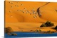 image thumbnail of Morocco, South Morocco, Desert and laguna around the city, migratory birds