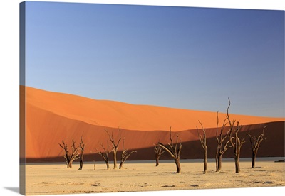Namibia, Hardap, Sossusvlei, Namib Desert, Namib-Naukluft National Park, Deadvlei