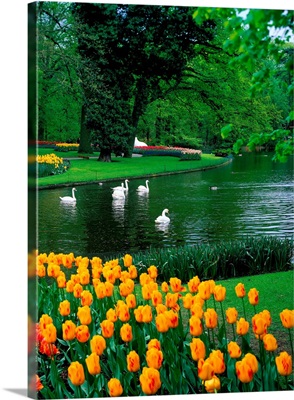 Netherlands, Lisse, Keukenhof Gardens