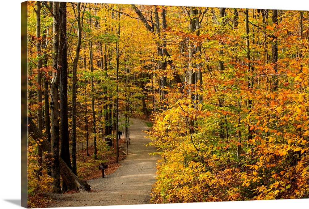 New Hampshire, New England, White Mountains, The Flume Gorge, The path in autumn