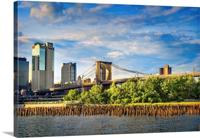 New York City, Brooklyn, View Of Brooklyn Bridge From Park