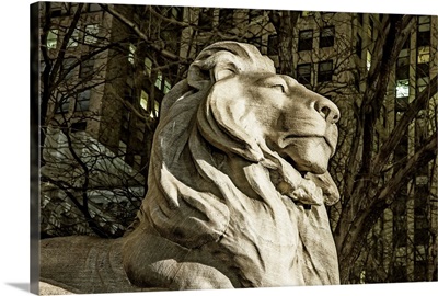 New York City, detail of lion at The New York Public Library main entrance