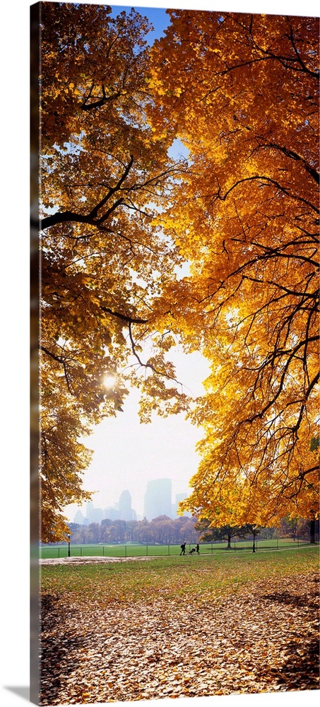 New York City, Manhattan, Central Park in autumn