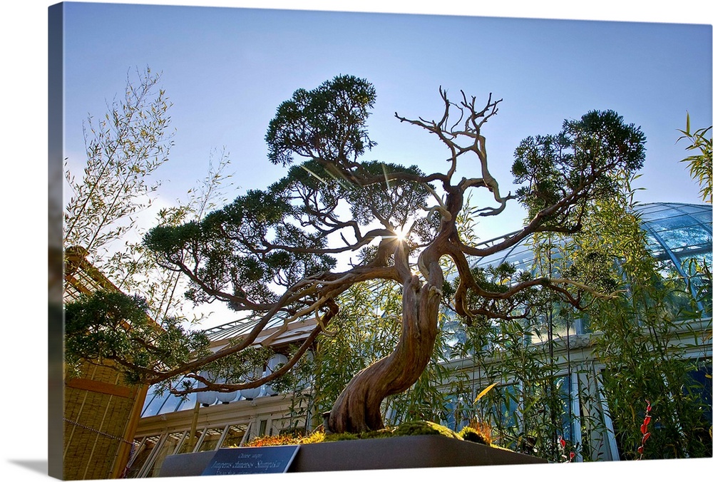 New York, New York City, The New York Botanical Garden, Haupt Conservatory