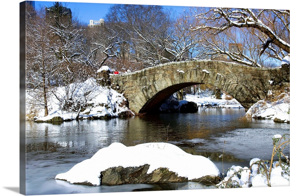 Winter, Central Park, New York City