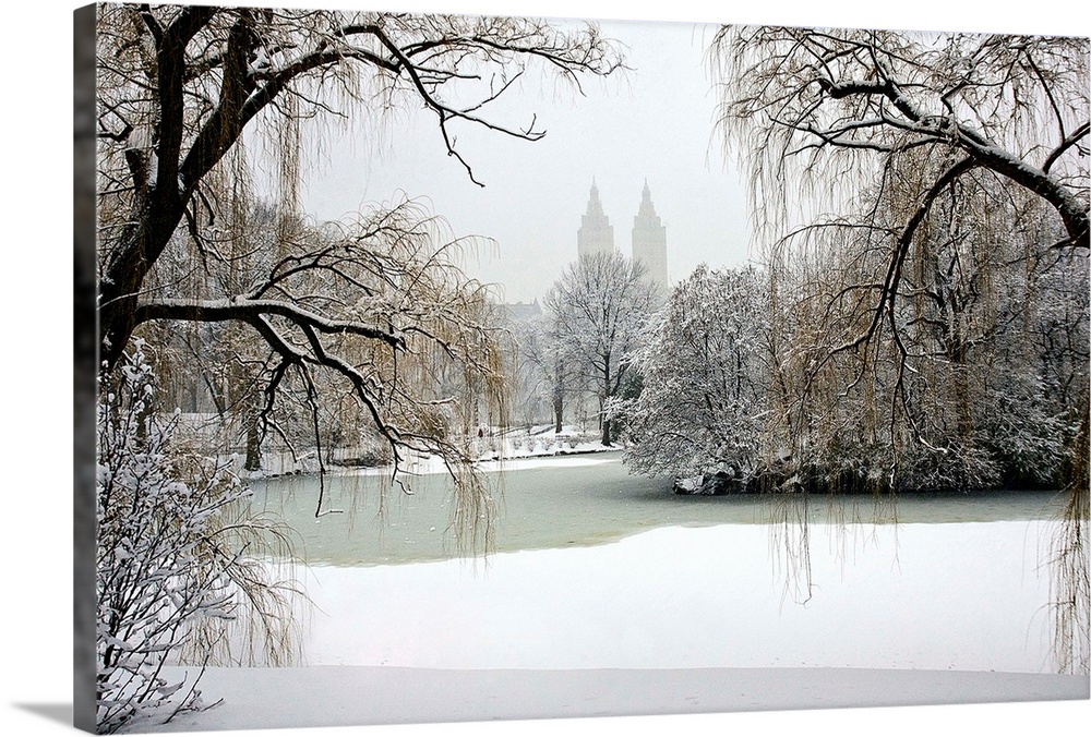 Winter, Central Park, New York City