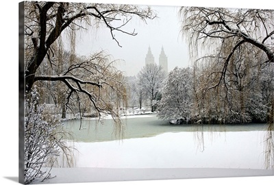 New York, New York City, Winter in Central Park, Lake