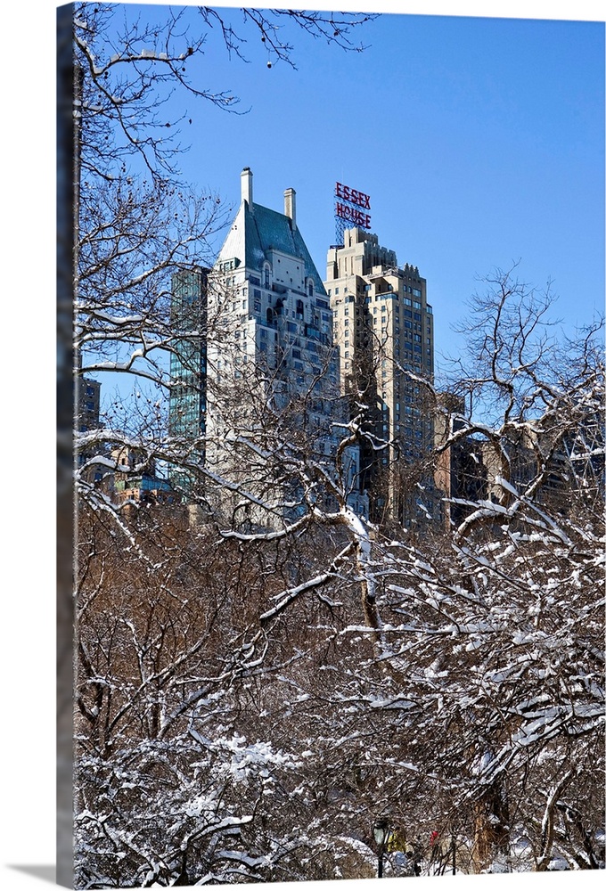 Winter, Central Park, New York City