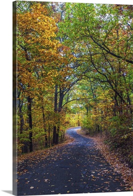New York State fall colors in Elks Memorial Park, Port Jervis