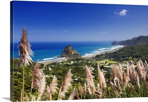 New Zealand, North Island, Auckland, Piha beach image thumbnail