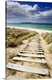 image thumbnail of New Zealand, North Island, Coromandel Peninsula, Opoutere beach