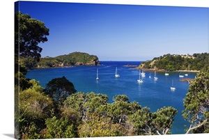 New Zealand, North Island, Northland, Pacific Bay, Tutukaka CoaSt. Whangarei image thumbnail