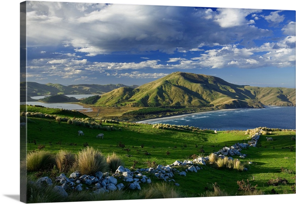New Zealand, South Island, Clutha-Central Otago, Otago Peninsula, view on Allans beach