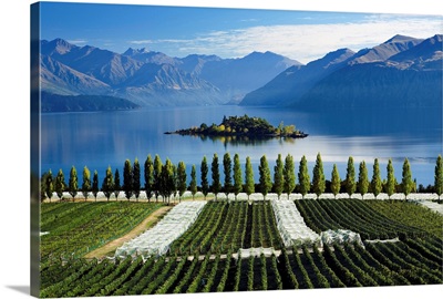 New Zealand, South Island, Central Otago, Rippon vineyards and Lake Wanaka