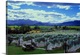 image thumbnail of Vigneti nel Marlborough nei pressi di Blenheim. Questa regione, che si trova all'estremit. nord-orientale dell'isola sud d...