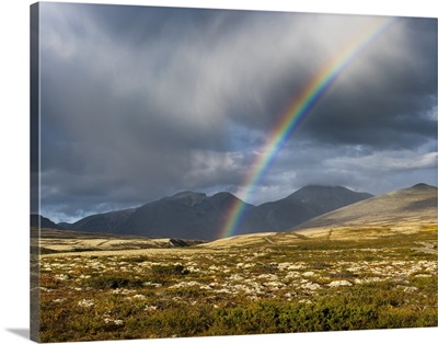 Norway, Rainbow, Rondane National Park, Scandinavia