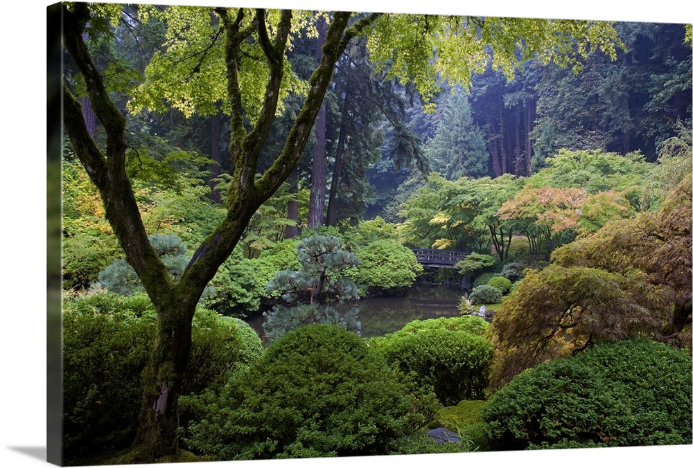 United States, USA, Oregon, Pacific Northwest, Portland, The Strolling pond in the Japanese Garden