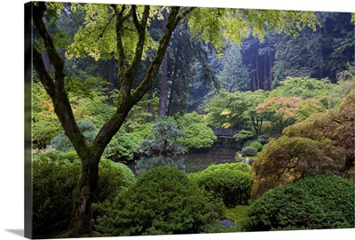 Oregon, Pacific Northwest, Portland, The Strolling pond in the Japanese Garden