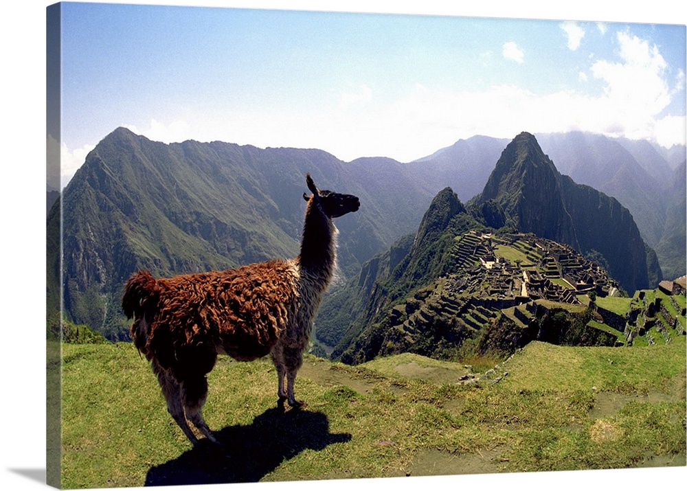 Peru, Cuzco, Machu Picchu