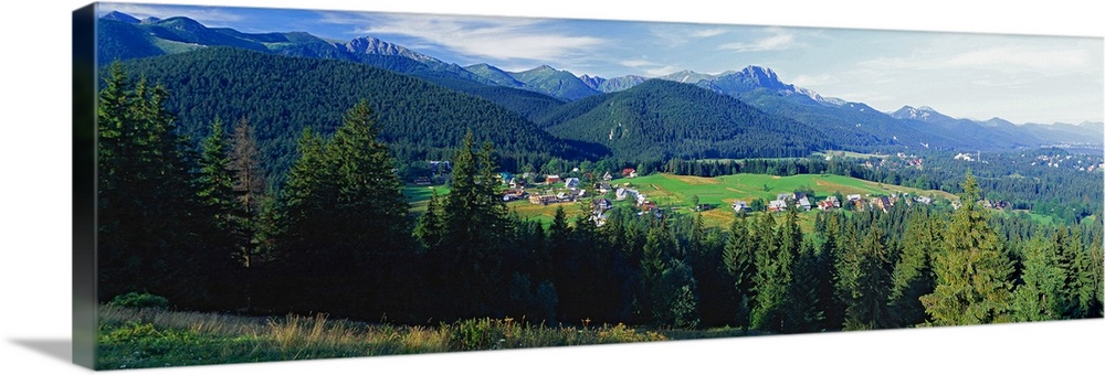 Poland, Malopolskie, Tatra National Park, landscape near Zakopane town