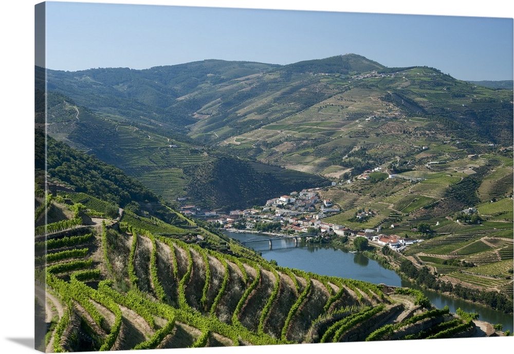 Portugal, Vila Real, Tras-os-Montes e Alto Douro, the Douro valley, vineyards