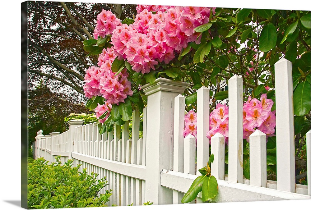 Rhode Island, Newport, garden with fence