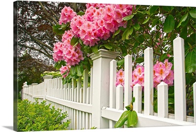 Rhode Island, Newport, garden with fence