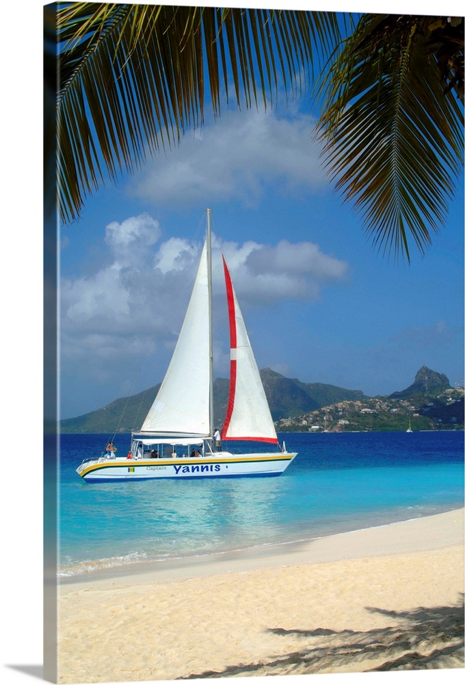 Saint Vincent and the Grenadines, Caribbean, Palm Island, Catamaran
