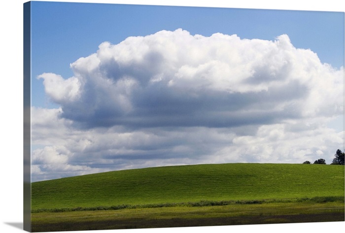 Scotland Dumfries And Galloway Castle Douglas Landscape Near Threave Castle Wall Art Canvas Prints Framed Prints Wall Peels Great Big Canvas