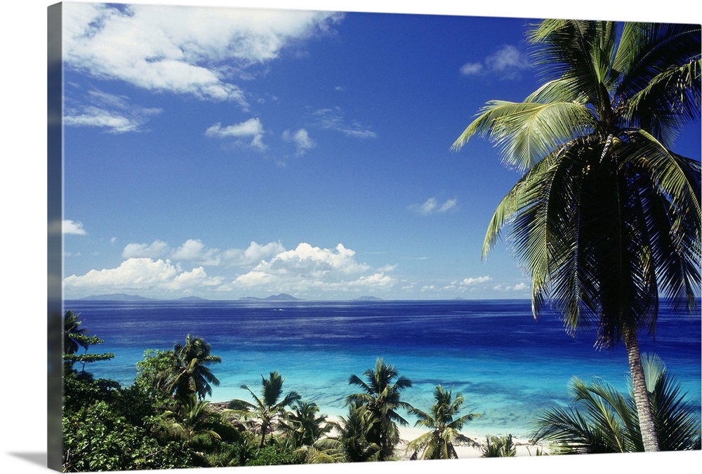 Seychelles, Fregate, Fregate Island, palms and sea.