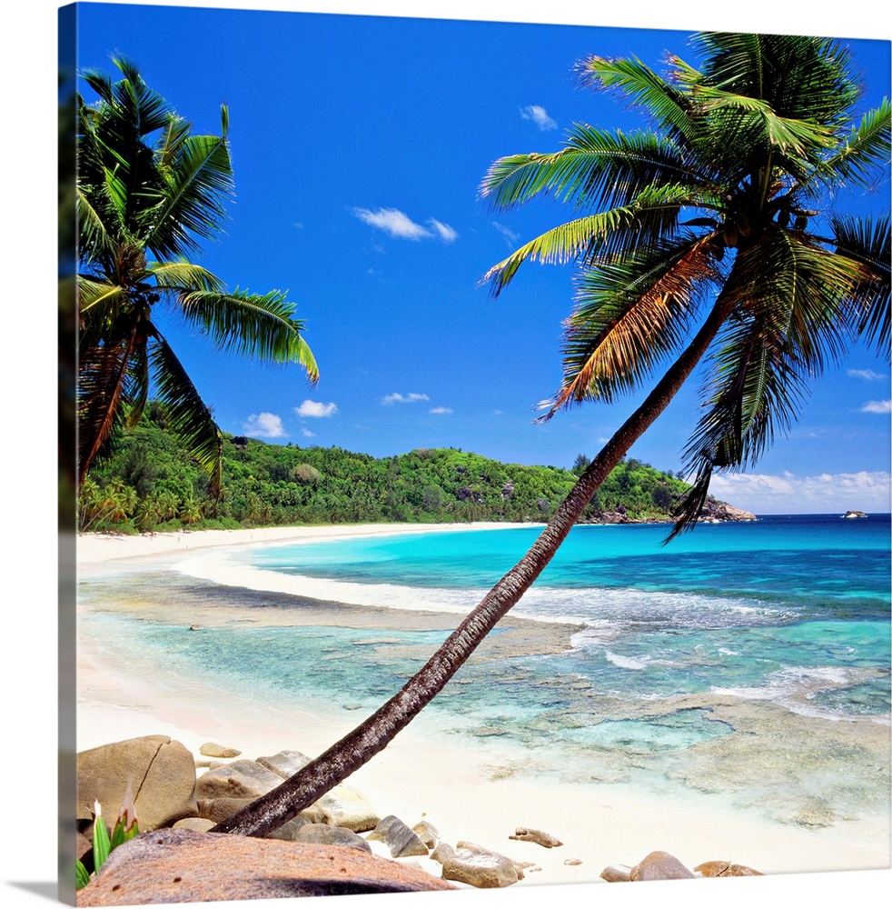 Seychelles, Mahe island, Tropics, Indian ocean, Anse Intendance