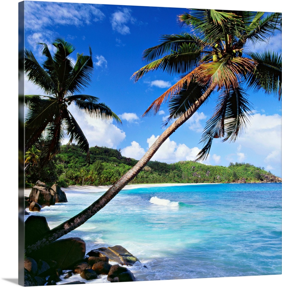 Seychelles, Mahe island, Tropics, Indian ocean, Anse Intendance