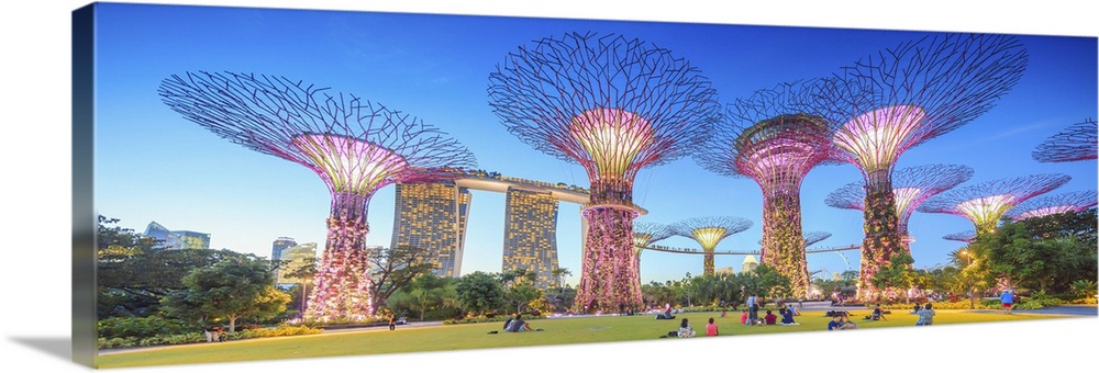 Singapore, Singapore City, Marina Bay Sands and Gardens by the Bay trees.
