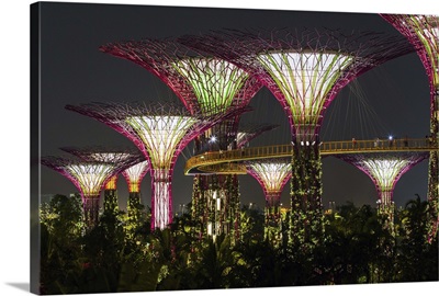 Singapore, Singapore City, Gardens by the Bay, Super Trees at night