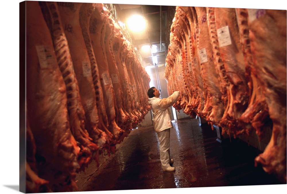 South America, Argentina, Buenos Aires, Slaughter house
