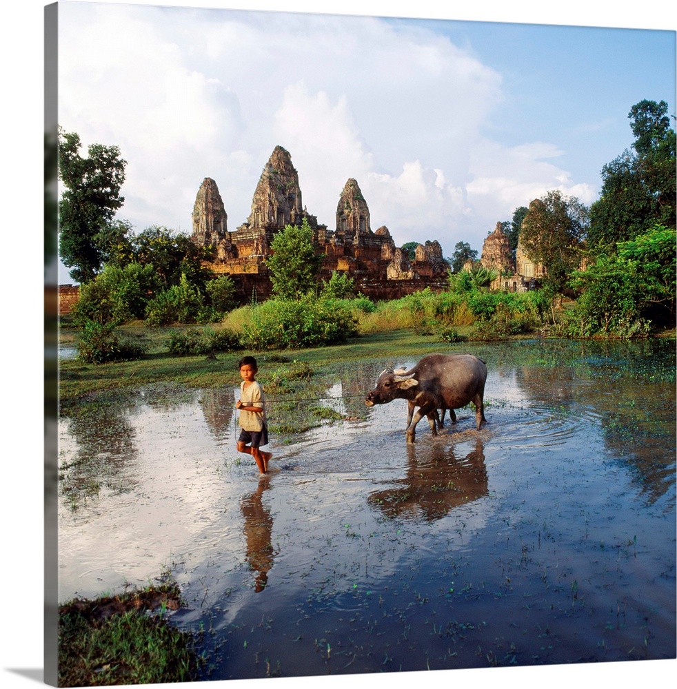 Southeast Asia, Cambodia, Kampuchea, Angkor, Pre Rup Temple, rice paddy