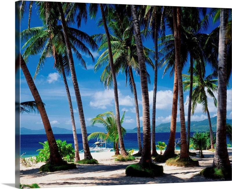 Southeast Asia, Philippines, Palawan, Taytay bay, Flower island Great