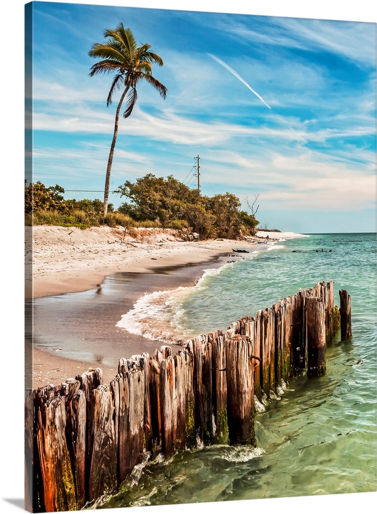 Southwest Florida, Gulf of Mexico, Sanibel Island, beach scene.